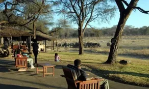 The Tree Lodge at Sikumi - Image 5