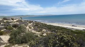 Rilassati sulla spiaggia di Aldinga - Image 3