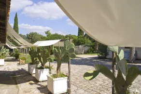 Masseria Zanzara - Image 5