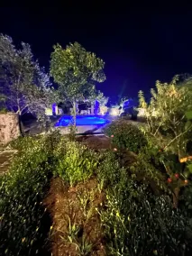 Villa with Pool in the Picturesque Salento Countryside - Image 5