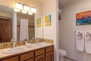 Sunlit 3 bedroom, enclosed dog friendly yard in quiet neighborhood - Image 5