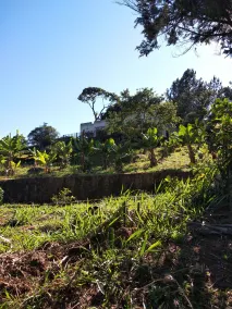 Country house surrounded by lush greenery, birdsong. - Image 3