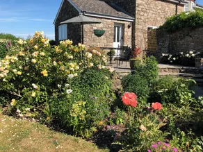 Pet friendly 'Home from Home in the Wye Valley Wales - Image 5