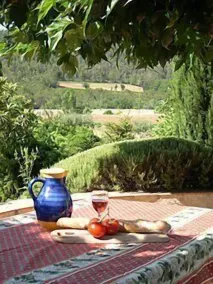 Traditionelle provenzalische Villa mit eigenem beheizten Pool - Image 5