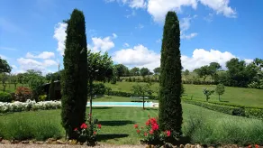 La Dolce Vita! Stunning villa, beautiful surroundings. - Image 5