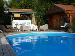 Luxurious holiday home with heated pool, 10 minutes by car from Lake Balaton - Image 4