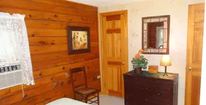 Adirondack Waterfront Log Cabin-med WIFI - Image 3