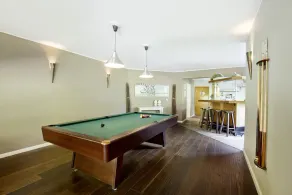 Grosses Ferienhaus für 2 Familien mit Sauna, Whirlpool, Kino, Bar und Billard - Image 2