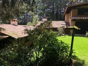 belle maison au milieu du grand jardin. 3 chambres 2 salles de bain en forêt - Image 4