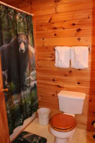Fald i skønheden i mtns. bo på Rocky Top!  Gennemsnitlig. natpris 119 $ - Image 4