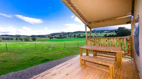 Hillview Farmstay - Image 4