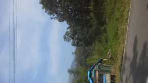 The home stay in nature's castle - Image 5
