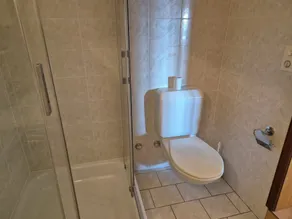 Executive Huge Flat in Central Lugano - Image 5