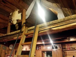 Seven Springs Cabin - Luna Chalet - Authentische, haustierfreundliche Blockhütte - Image 2