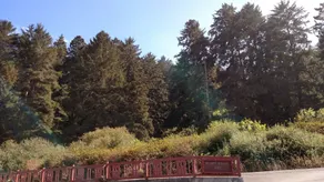 The Garden Suite has beautiful views of forests and pastures! It is dog friendly - Image 2