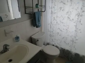 Pool Paradise Central - Cozy 3 BR, 2 Bathroom home with heated pool & lanai - Image 4
