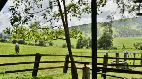 The Gatekeepers Cottage - Image 4