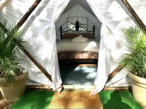 Glamping on a Safari - Image 3