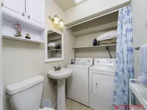 Blue Ocean ~ Pet Friendly ~ One house off the Beach! - Image 4