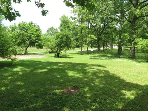 Get Away Acres 1/2 mile off highway 60 - Image 4