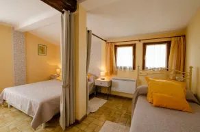 L'epicéa - Image 5