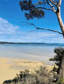 „Winterangebot“ ´Alkira´ Bruny Island Gemütlicher Aufenthalt - Image 3