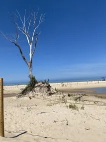 Lake Michigan Cottage - Waterfront on Sunset Bluff (The \"Sage\") - Image 3