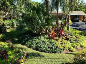 Tropical Studio with Private Kitchen and Bath - Image 3