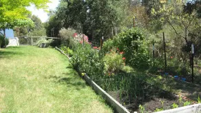Ballan Pferd & Ziege Bed and Breakfast - Image 3