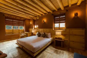 Chulli Bagh Villa - Image 5