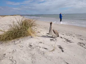3 Minuten zu Fuß zum Meer! - Image 4