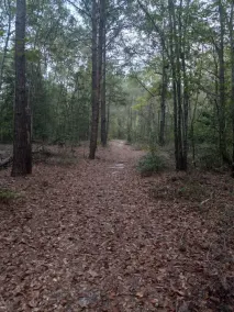 Private Nature Oriented Campground - Image 4