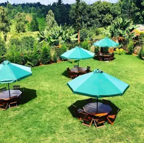 ViVa Gardens - Image 4