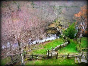 Ourense: Village hus med trädgård intill floden - Image 3