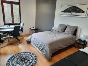 Quiet, bright 3* studio in Hohwald, hiking and mountain-biking country - Image 4