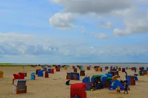 Nordsjökustens naturliga strand! - Image 5