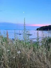 Oceanfront Cottage on Pleasant Beach in Maine - Image 5