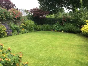 Charming Cottage Sidmouth Devon.Easy walk or cycle ride by river to beach. - Image 2