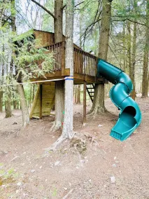 Family Friendly Mountain Retreat: Grill, Cabana, Hot Tub, Play set, Fire pit  - Image 3