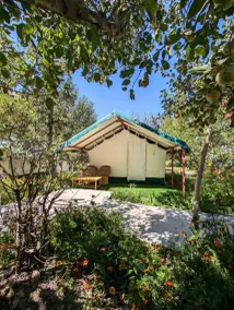 Apple Orchard Farm and Camping - Image 5