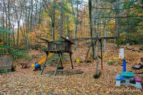 The Catskills Experience - No Car Needed - Image 2
