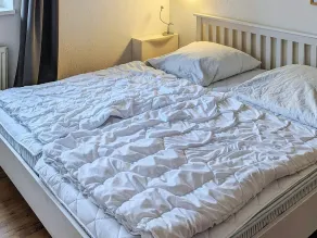 4 star holiday home in Neuschönberg - Image 2