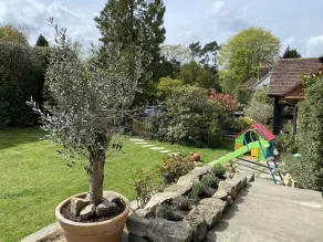 Cosy duplex Cottage on Ashdown Forest - Image 2