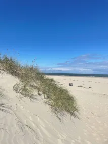 Charmerende lejlighed på en bilfri ø - Image 5