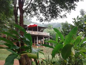 Forest Guesthouse - Image 3
