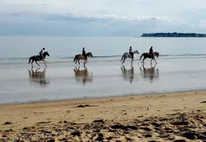 Hus med have, 8 minutter Strand LA BAULE, bolig med swimmingpool - Image 3