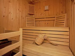 Cozy masionette with sauna, near Königsleiten - Image 3