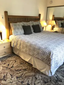 Les plus bas tarifs sur la belle maison de ville Vail avec bain à remous! - Image 3