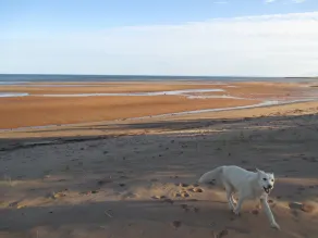 So Much Beach So Little Time - Image 3