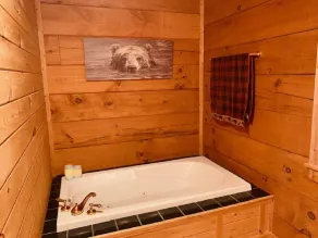 BEAR FEET RETREAT, 100 MILE VIEWS, HOT TUB, 4 BEDROOMS, sleeping loft SLEEPS 22 - Image 5
